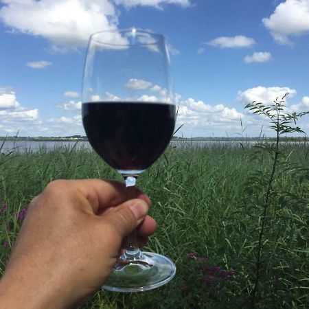 Domaine De Giron Bed & Breakfast Moulis-en-Médoc Екстериор снимка